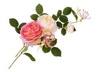A beautiful composition of English roses isolated on white background