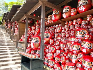 勝尾寺のダルマ