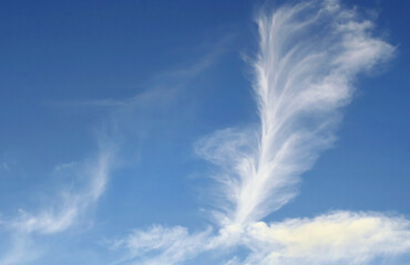 Wispy vertical Cirrus Clouds in a bright blue summer sky - obrazy, fototapety, plakaty