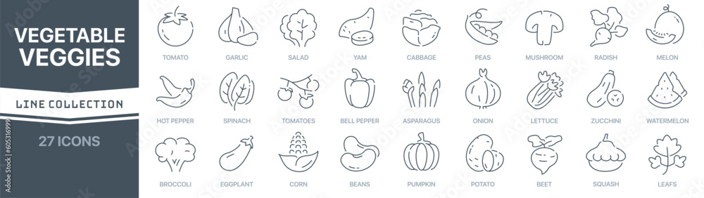 Poster Vegetable and veggies linear signed icon collection. Signed thin line icons collection. Set of vegetable and veggies simple outline icons