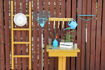 The set of different tools and equipment for gardening at wooden wall of shed with birch firewood. 