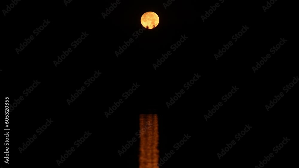 Wall mural bright round moon with reflection on water at night. - tilt up