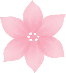 Pink handdrawn watercolor flower