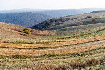 The Inner Mongolia prairie in early autumn day