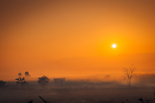 Misty Morning in Dimapur