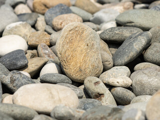 sea big stones as a background.