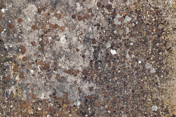 Texture vieux mur