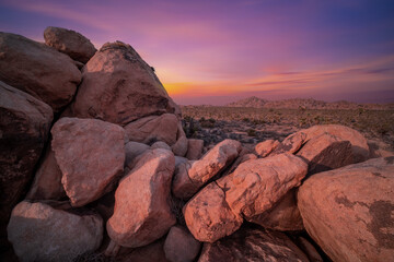 Road trip with Joshua trees at sunset landscape around. California, USA