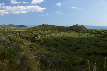 Fototapeta premium Panorama costiero con una antica torre sulla cima di una collina - Parco Regionale della Maremma - Toscana - Italia