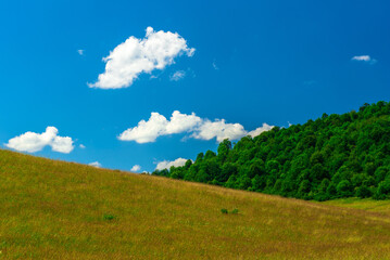 landscape in the bieszczady mountains, meadow, forest and sky