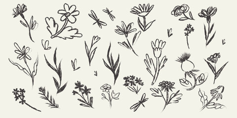 Abstract contemporary flowers with textures. Modern vector illustration. Small hand-drawn flowers set. Wild flowers and plants in charcoal or crayon drawing style. Pencil drawn branches and stems.
