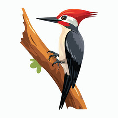 Woodpecker on Tree Branch: Flat Vector Illustration of a Colorful Woodpecker Perched on a Branch