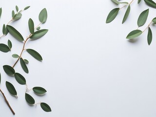 Branches and leaves of eucalyptus on a white background. Eucalyptus minimal background on white. Flat lay, top view, copy space, Ai Generative