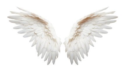Angel Wings: White Feathered Symbol of Purity on a Transparent Background PNG - obrazy, fototapety, plakaty