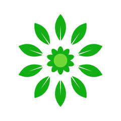 Fototapeta na wymiar green leaf element. leaf logo icon vector design. leaf vector illustration for design element and clipart