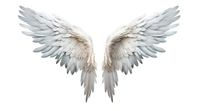 An angel wings with white feathers isolated on transparent background png