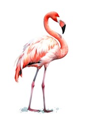 Pink flamingo isolated on white background in watercolor style. Generative AI.