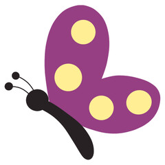 Butterfly purple