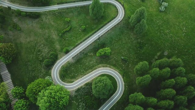 Curvy bike path. Laid between the trees in the park. Green trees and foliage. The drone flies with the camera down. Aerial photography.