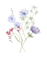 Watercolor Bouquet with Wildflowers. Blue and pink Florals. Design for Card on the white Background.