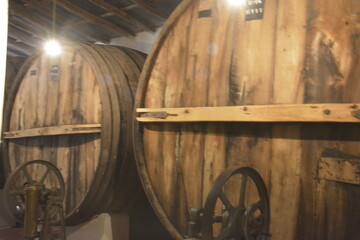 wine barrels in a cellar