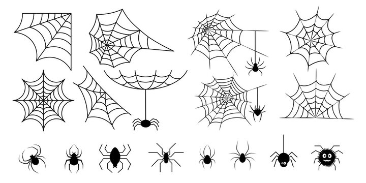 Web spider cobweb icons set.