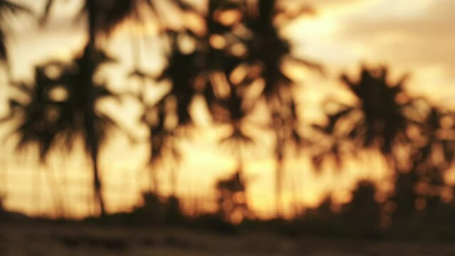 Blurred tropical background with copy space. The silhouettes of palm trees against the orange sunset sky on a tropical beach.