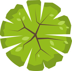 Tree or plant top view for landscape design. Icon  colored tree  for architectural map, plan. Green space. Element for design project of Green spaces