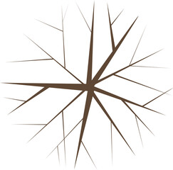 Obraz premium Tree or plant top view for landscape design. Icon colored tree for architectural map, plan. Green space. Element for design project of Green spaces