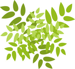 Naklejka premium Tree or plant top view for landscape design. Icon colored tree for architectural map, plan. Green space. Element for design project of Green spaces