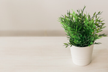 Artificial plant on empty white wall background place for your text - interior decor concept
