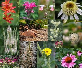 Summer Flower Garden Photo Collage Composition