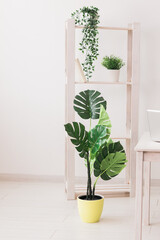 Collection of various artificial home plants. Home greenery interior design with plants concept