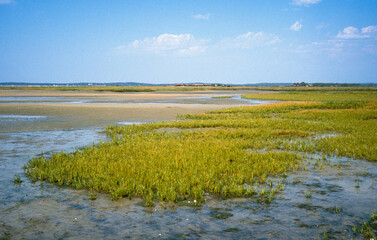 Cabane tchanquée, Ile aux Oiseaux, La Teste de Buch, Bassin d'Arcachon, 33, Gironde, France