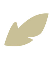 dove on a branch