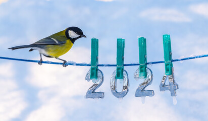 Background for a New Year and Christmas card, a bluebird bird sits on a rope on which frozen and...