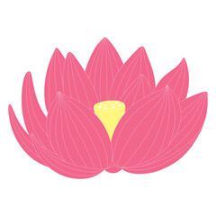 Lotus, water lily flower hand drawn illustration. Line art, drawing style design, isolated vector. Mid Autumn Festival floral, botanical element, beautiful Asian flora, blossom, bloom, plant