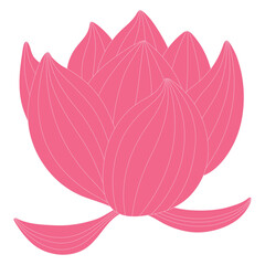 Lotus, water lily flower hand drawn illustration. Line art, drawing style design, isolated vector. Mid Autumn Festival floral, botanical element, beautiful Asian flora, blossom, bloom, plant