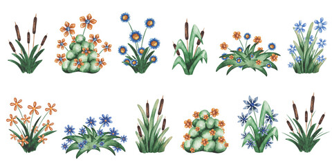 Watercolor set of illustrations. Hand painted blue and yellow flowers. Green grass, leaves and bushes. Wildflowers in fields, meadows. Chamomile, daisies. Floral set of elements. Isolated clip art