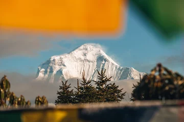 Photo sur Plexiglas Dhaulagiri Mt. Dhaulagiri, Nepal. Seen from Poon Hill Trek. Beautiful mountain peak in gentle morning lights. Himalayas mountain peak during blue hour. Stunning mountain peak landscape.