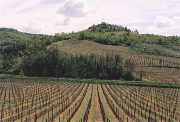 Fototapeta na wymiar Vineyards and Hills Landscape in Northern Italy. Fortunago, Pavia Province. Film Photography