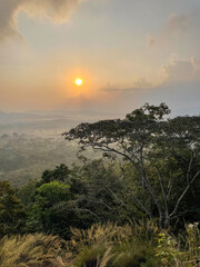 Fototapeta na wymiar foggy sunrise in jungles 
