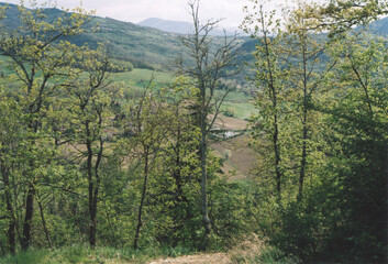 Obraz premium High View from the Woods of the Hill . Natural Landscape in Zavattarello, Pavia Province, Italy. Film Photography