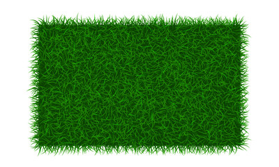 Banner with green grass. Template isolated on white background. Vector mockup