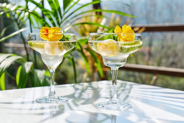 Iced lemonade with edible nasturtium flowers, lime and mint leaves. Refreshing summer drink. Healthy organic summer soda drink. Detox water. Diet unalcolic coctail.