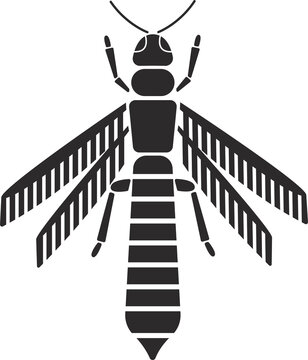 Insect order thysanoptera thrips geometric icon illustration