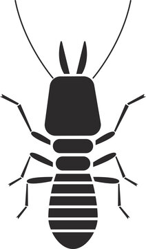 Insect order isoptera termite geometric icon illustration