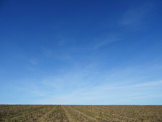 Obraz premium A farmer inspects the field before sowing seeds, pieces of soil in his hands, close-up