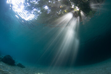 Beams of bright sunlight flicker underwater on the edge of a tropical island in West Papua, Indonesia. This area and its warm waters is home to high marine biodiversity.