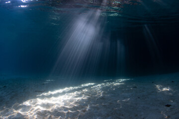 Beams of bright sunlight flicker underwater on the edge of a tropical island in West Papua,...